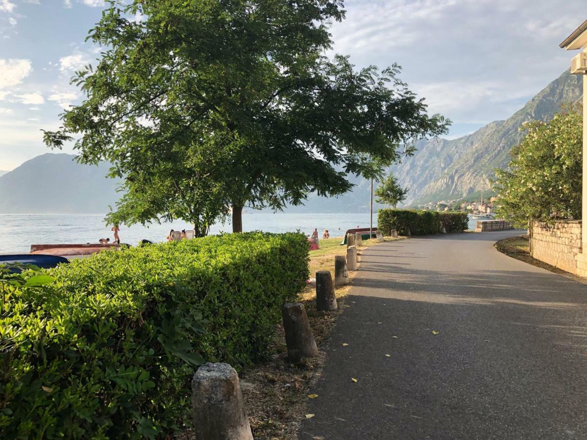 Apartment Luxury Place With Private Parking, Few Steps From The Sea